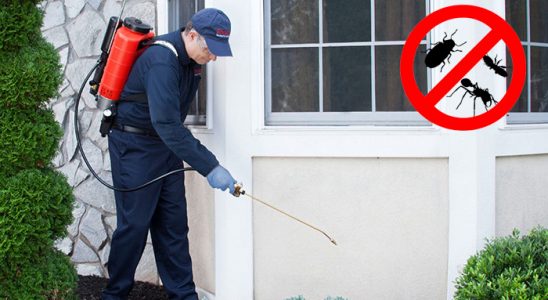 Yerköy Akrep İlaçlama böcek ilaçlama ve haşere kontrolü — ilaclama-tr.com